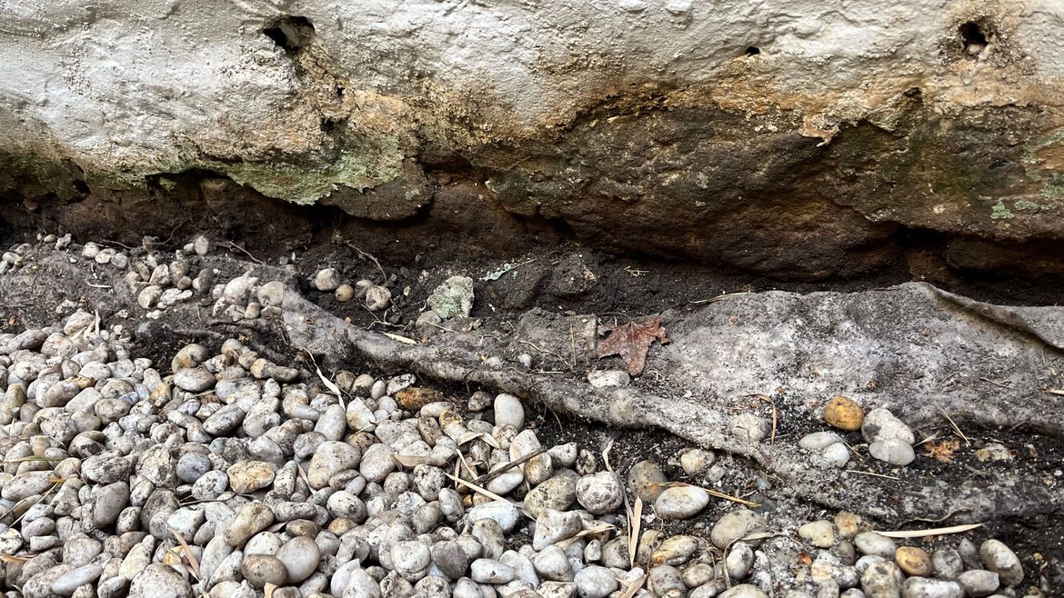 IMG_8589 2.jpeg IMG_8589 2.jpeg