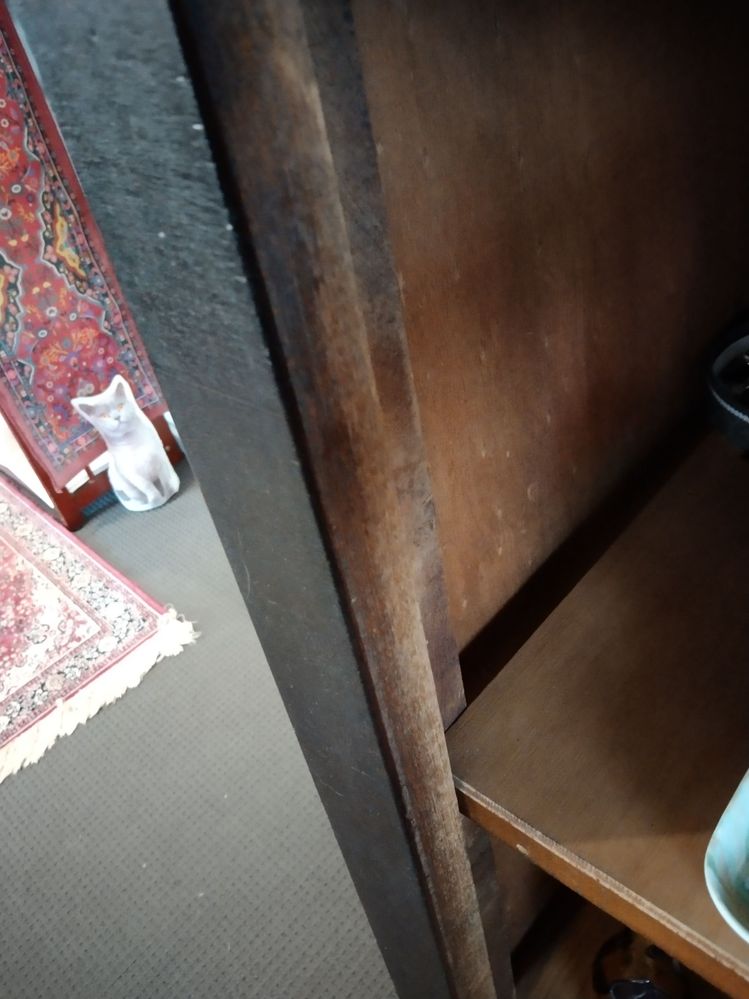 IMG_20251007_135632.jpg IMG_20251007_135632.jpg