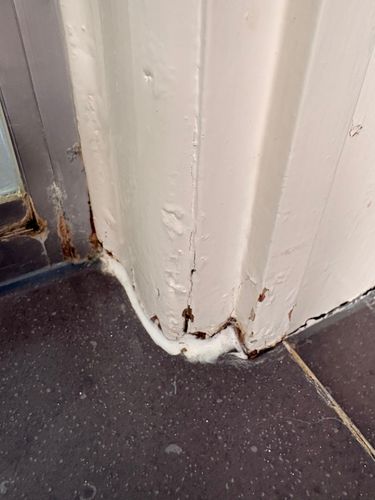 IMG_3670.jpeg IMG_3670.jpeg