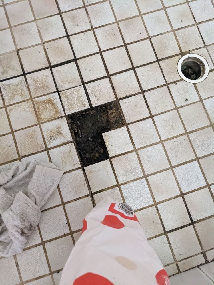 PXL_20231227_005818315.jpg PXL_20231227_005818315.jpg