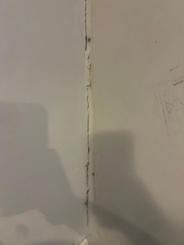 IMG_4049.jpeg IMG_4049.jpeg