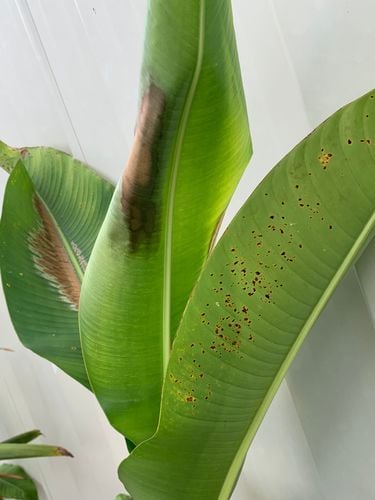 IMG_1960.jpg IMG_1960.jpg