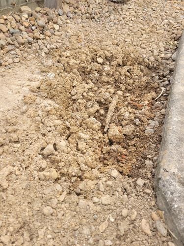 20250731_150511.jpg 20250731_150511.jpg