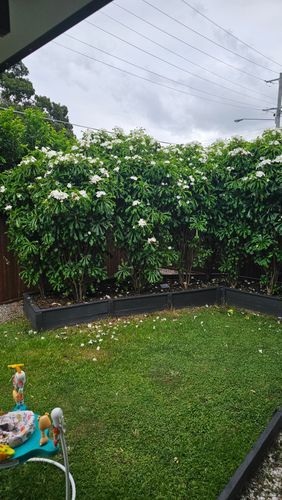 1000045483.jpg 1000045483.jpg