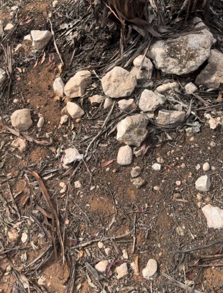 Screenshot 2025-05-18 at 9.26.28 PM.png Screenshot 2025-05-18 at 9.26.28 PM.png