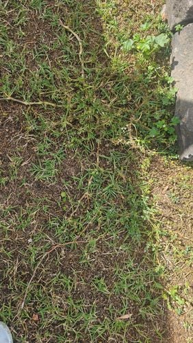 1000011482.jpg 1000011482.jpg