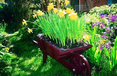 D0EA0766-DC55-4285-9805-15A0E1C8B591.jpeg D0EA0766-DC55-4285-9805-15A0E1C8B591.jpeg