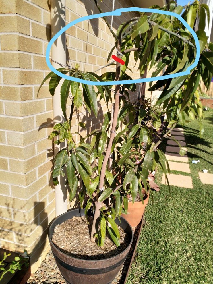 InkedIMG_20210909_150312_LI.jpg InkedIMG_20210909_150312_LI.jpg