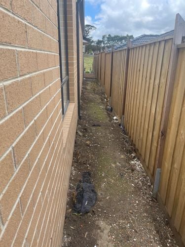 IMG_1207.jpeg IMG_1207.jpeg