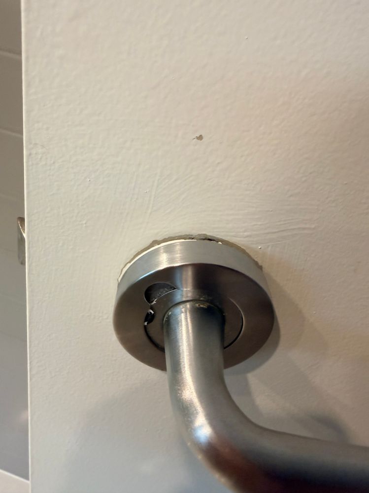 IMG_0299.jpeg IMG_0299.jpeg