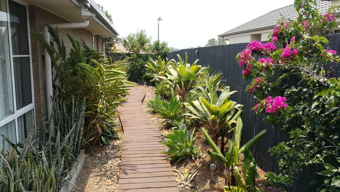 petebrighero.jpg petebrighero.jpg