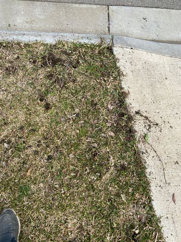 06668818-7581-4B62-A840-4C1D312A7A12.jpeg 06668818-7581-4B62-A840-4C1D312A7A12.jpeg