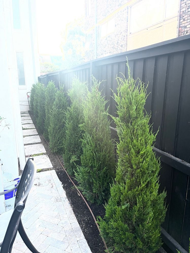 Image4.jpg Image4.jpg