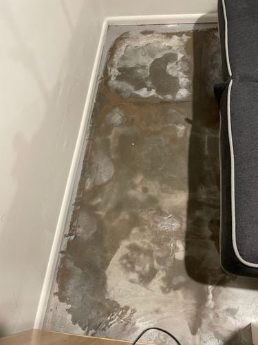 IMG_0666.jpeg IMG_0666.jpeg