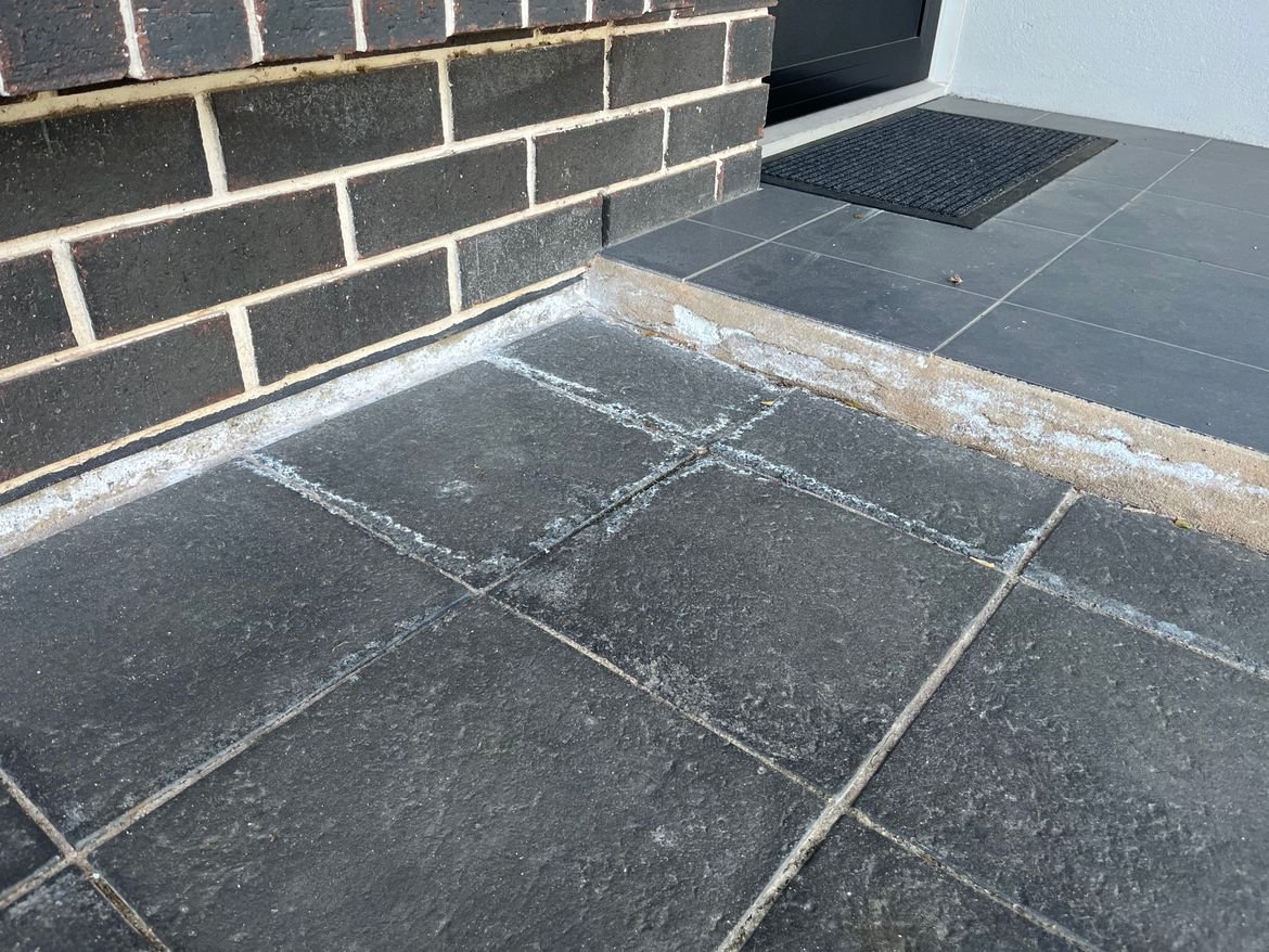 IMG_2241.jpeg IMG_2241.jpeg