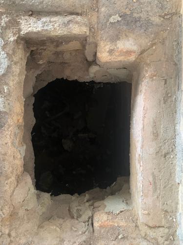 IMG_7950.jpeg IMG_7950.jpeg