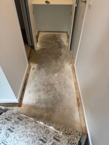 IMG_4782.jpeg IMG_4782.jpeg