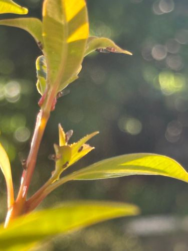 IMG_8406.jpeg IMG_8406.jpeg