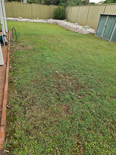 20241204_062931.jpg 20241204_062931.jpg