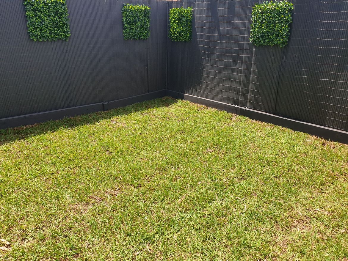 20210207_131321.jpg 20210207_131321.jpg