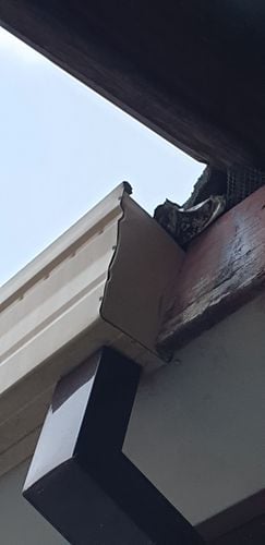 20240126_193506.jpg 20240126_193506.jpg