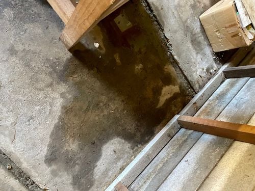 3F1ACA5C-6267-43C0-9BB1-6B75AE24CF7A.jpeg 3F1ACA5C-6267-43C0-9BB1-6B75AE24CF7A.jpeg