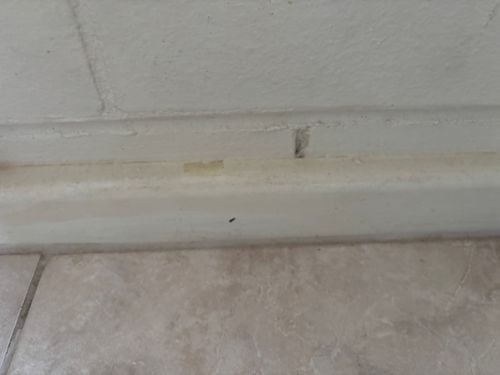 IMG_4855.jpeg IMG_4855.jpeg