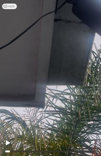 IMG_0708.jpeg IMG_0708.jpeg