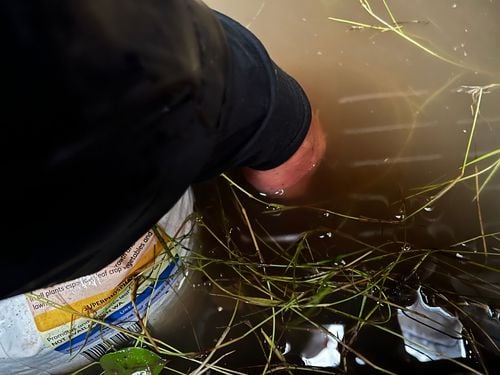 BA62409B-773C-4C1D-955A-51B13C42A68D.jpeg BA62409B-773C-4C1D-955A-51B13C42A68D.jpeg