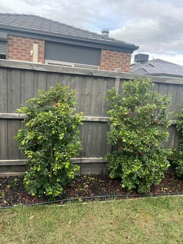 IMG_9609.jpeg IMG_9609.jpeg