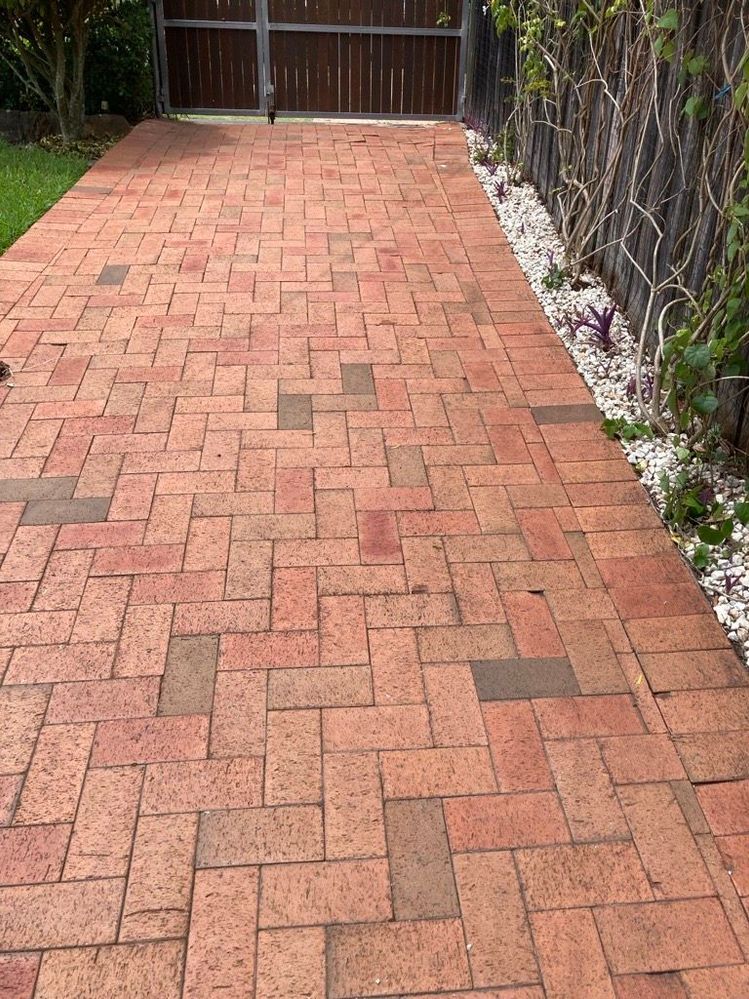 Image (25).jpg Image (25).jpg