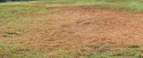 Screenshot_20210202-091415.png Screenshot_20210202-091415.png