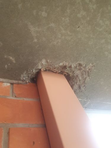 20251103_132151.jpg 20251103_132151.jpg