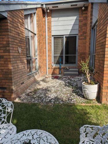 1000003543.jpg 1000003543.jpg