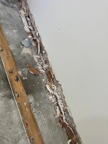 IMG_6359.jpeg IMG_6359.jpeg