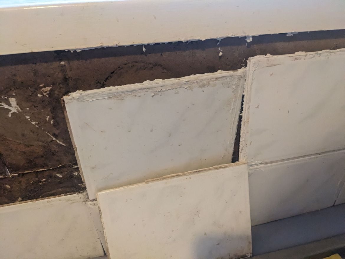 PXL_20231225_052938985.jpg PXL_20231225_052938985.jpg