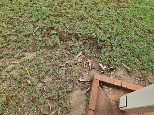 20241204_062846.jpg 20241204_062846.jpg