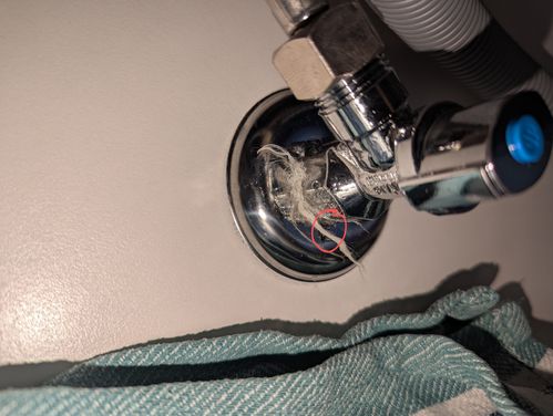 1000015603.jpg 1000015603.jpg