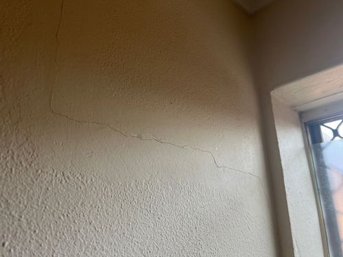 IMG_5401.jpeg IMG_5401.jpeg