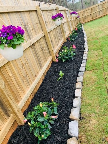 IMG_4596.jpeg IMG_4596.jpeg