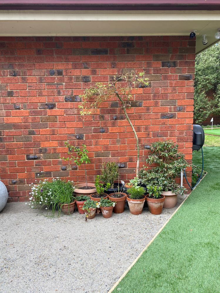 IMG_2404.png IMG_2404.png