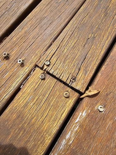 1000005585.jpg 1000005585.jpg