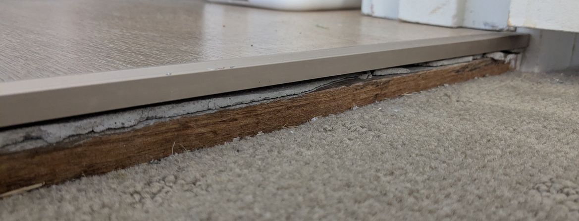 PXL_20250118_002752027.jpg PXL_20250118_002752027.jpg