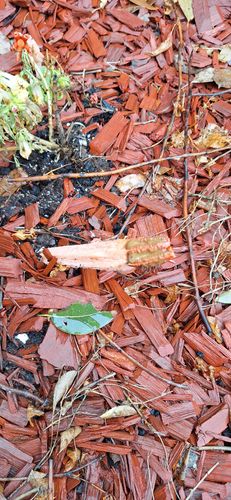 20240505_103112.jpg 20240505_103112.jpg