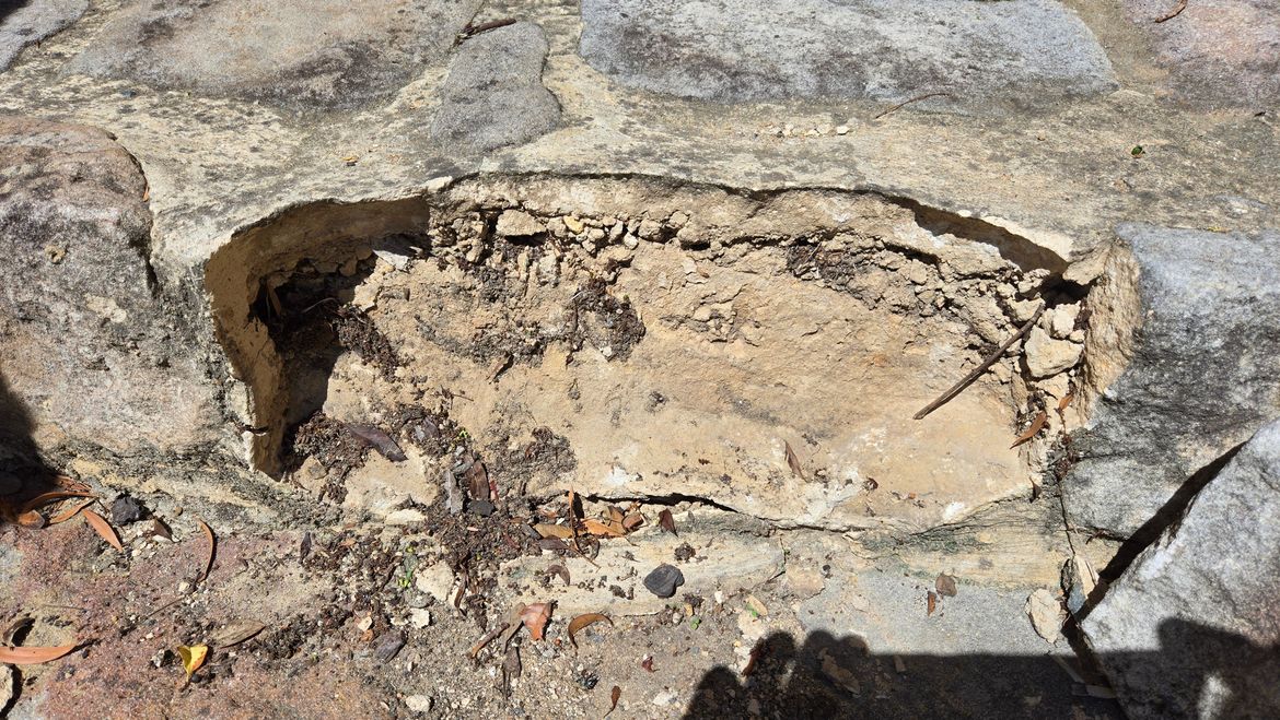 20250218_143634.jpg 20250218_143634.jpg