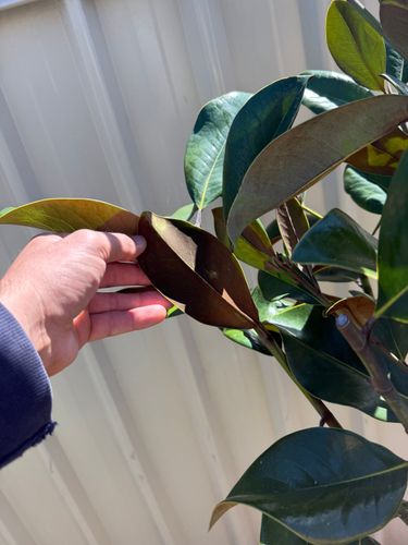 IMG_3255.jpeg IMG_3255.jpeg