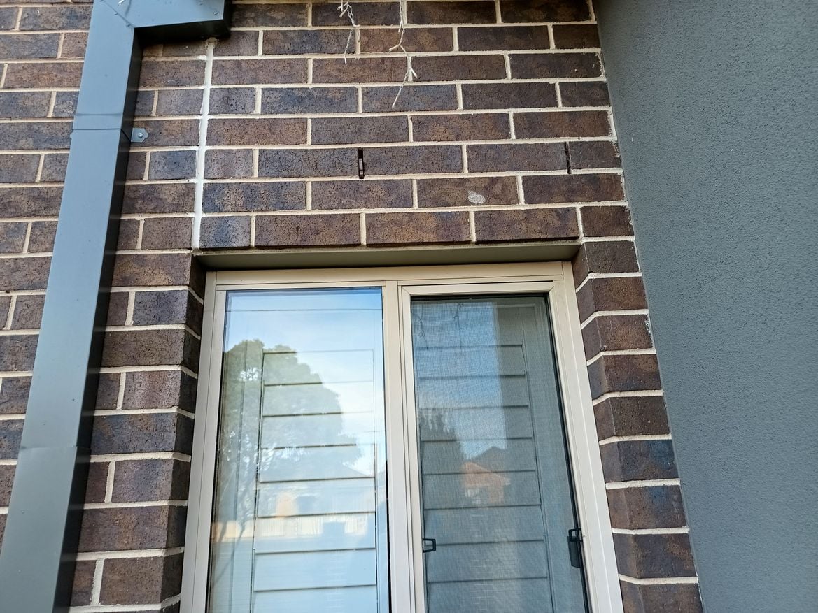 IMG_20250626_091248570_HDR.jpg IMG_20250626_091248570_HDR.jpg