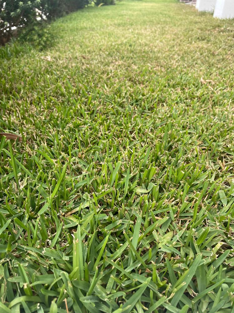 IMG_6973.jpeg IMG_6973.jpeg