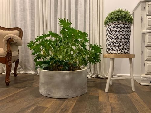 DB7E2557-75C8-4045-9F9D-CEF84C47ED0D.jpeg DB7E2557-75C8-4045-9F9D-CEF84C47ED0D.jpeg