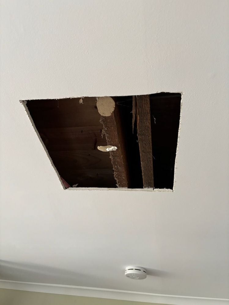 IMG_8232.jpeg IMG_8232.jpeg